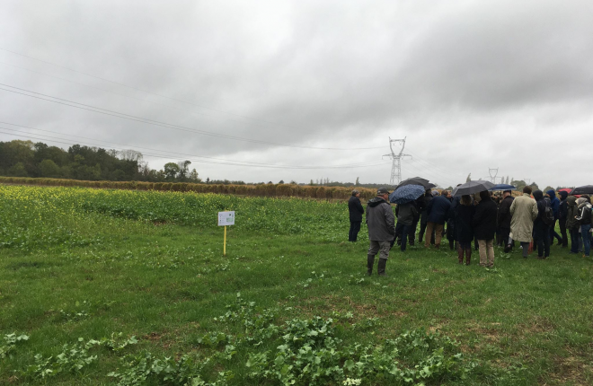 VISITE TERRAIN AGRIFAUNE VISITE TERRAIN