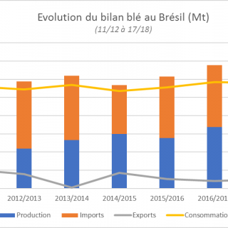 BILAN BLE BRESILIEN