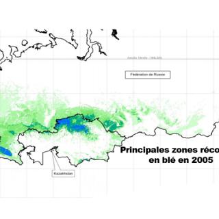 ZONES DE PRODUCTION BLE EN RUSSIE 2005